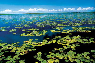 你的車除了用來(lái)上下班,還能做這件事 別錯(cuò)過機(jī)會(huì)