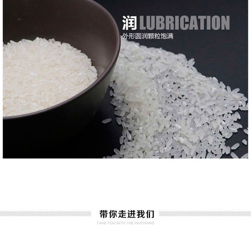 大清溝遼寧特產生態米 東北大米5kg 包郵 新疆 青海 西藏 港澳臺除外